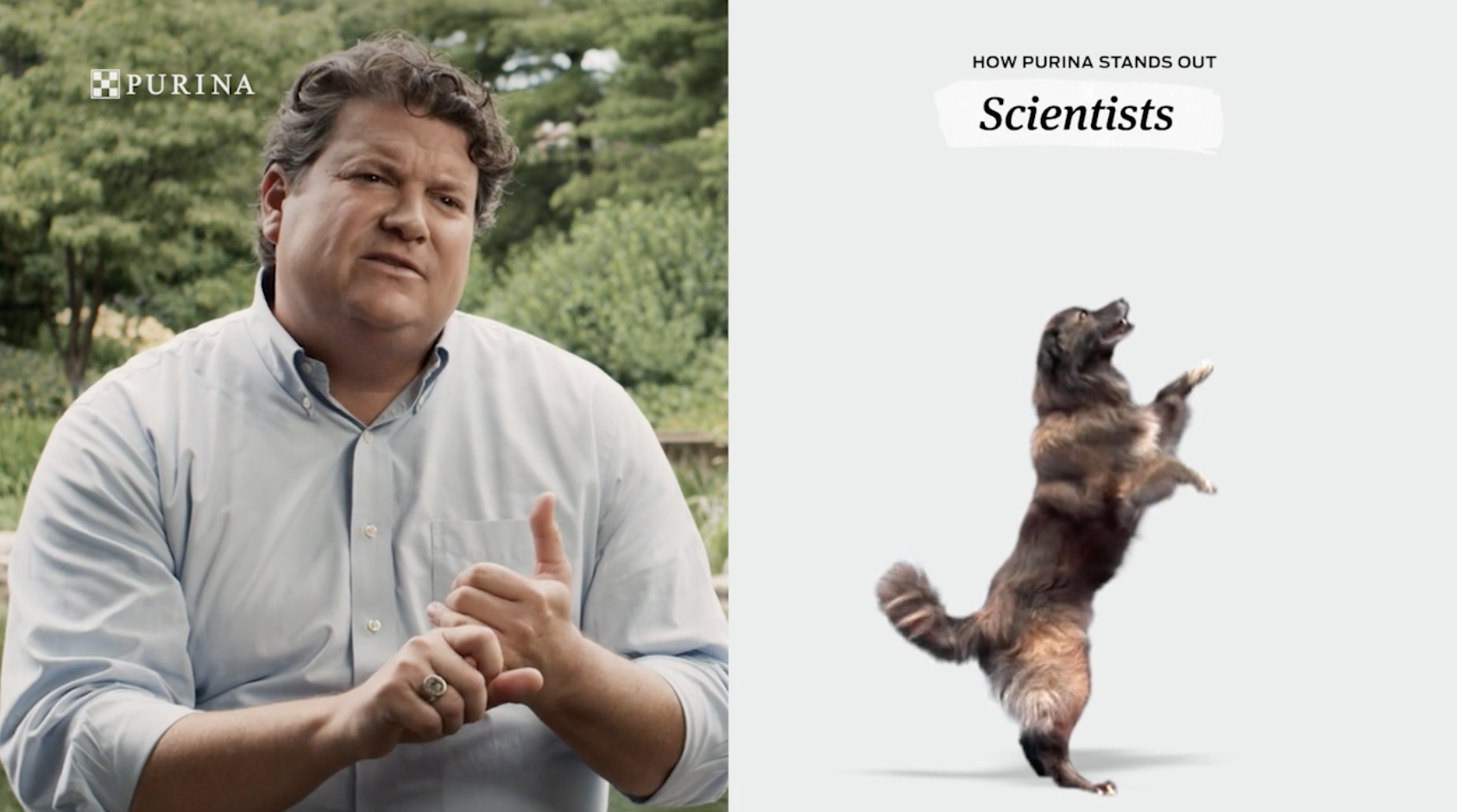 Expert Visual Storytelling Ad for Engaging Purina Video | Pluto